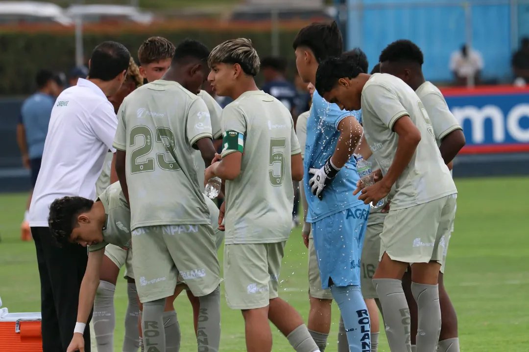 pechocigno's tweet photo. El Fútbol es mi pasión y asi lo vivo, trato de transmitirlo y que mis jugadores lo vivan de la misma manera. Si miras para los costados o lejos,no ves el paso inmediato y tropiezas.Hay que ir despacio que no es igual q lento.Vamos por más💪⚽️🇪🇨 #Orense #formandopersonas #MiPasión https://t.co/uLkoKw8yJj