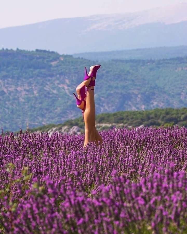 7palabraspoema7's tweet photo. When flower is free,
its fragrance captivates.
#7WordsPoem https://t.co/T3xo1loQGq