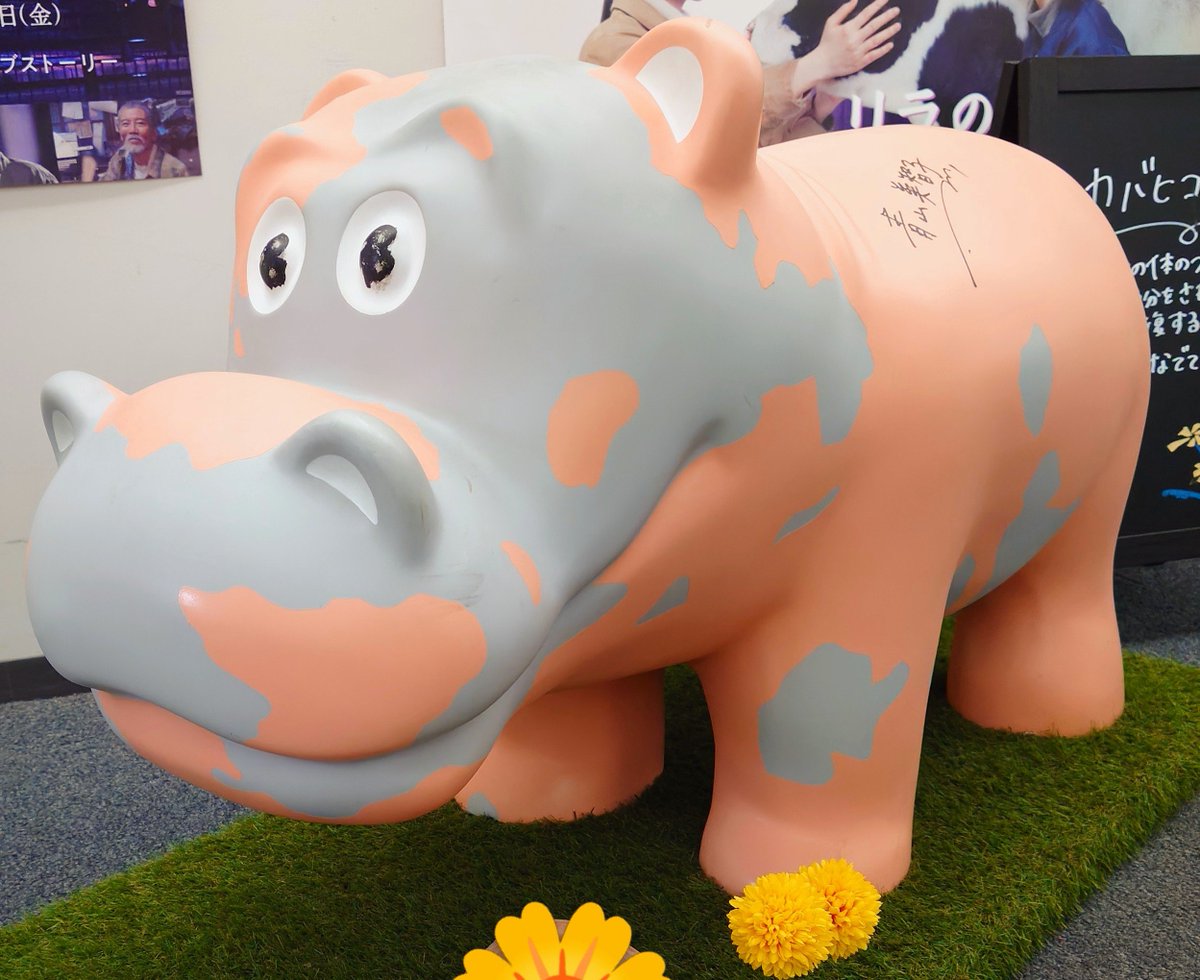 michicoming's tweet photo. 今日は一日一緒にいました🦛✨
カバヒコを囲んでくださる方々の眼差しが本当に優しい。嬉しい。 https://t.co/hkLb86Uz24