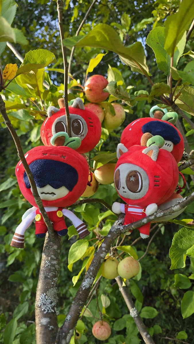 Tyunsaffogato's tweet photo. The apples in my tree looking a lil different this year https://t.co/mtsAYu9j2J