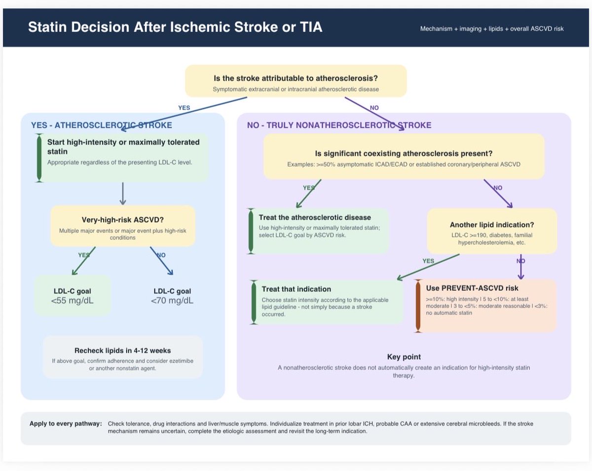 AviragG's tweet photo. High intensity statins for all stroke patients?? A common but not the right practice. Before you start statin look for Etiology, Lipid panel, Vessel imaging and ASCVD risks 
This statin flowchart might help. https://t.co/N8evcA4cpk