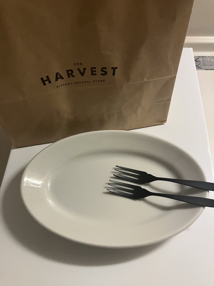 hamata000's tweet photo. ルクアイーレにハーベストがオープンしたからずっと迷ってたサタルニアのオーバルプレート迎えに行ってきた😏
23買うつもりだったけど、実際見たら25と悩み過ぎてとりあえず1つだけ購入。パスタボウルが可愛くてそっちも欲しくなりました。 https://t.co/3IPJFd47Rx
