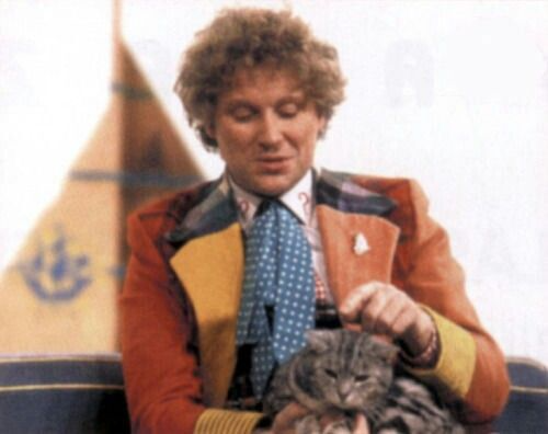 drclarayuri's tweet photo. the doctor with kitties https://t.co/BzJulEv8v1