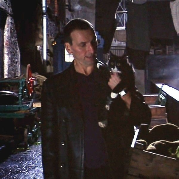 drclarayuri's tweet photo. the doctor with kitties https://t.co/BzJulEv8v1