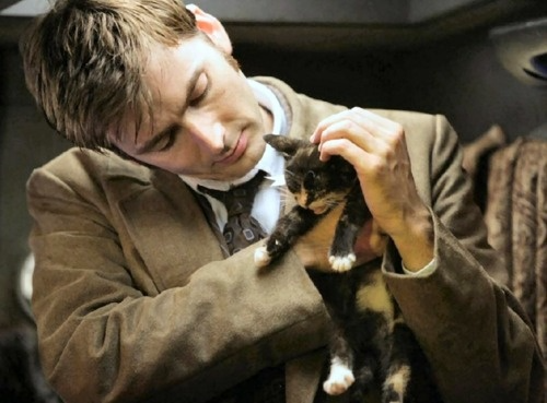 drclarayuri's tweet photo. the doctor with kitties https://t.co/BzJulEv8v1