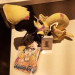 Photo by Decora Fluff (@DecoraFluff)
