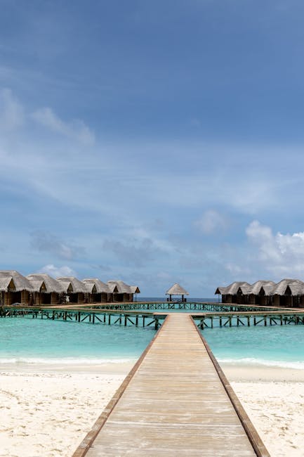 dolores_6ak's tweet photo. body finally feels free, as loosens tight warm oil gently muscles. oliva vactor🎬 https://t.co/ZeIbexRqOm