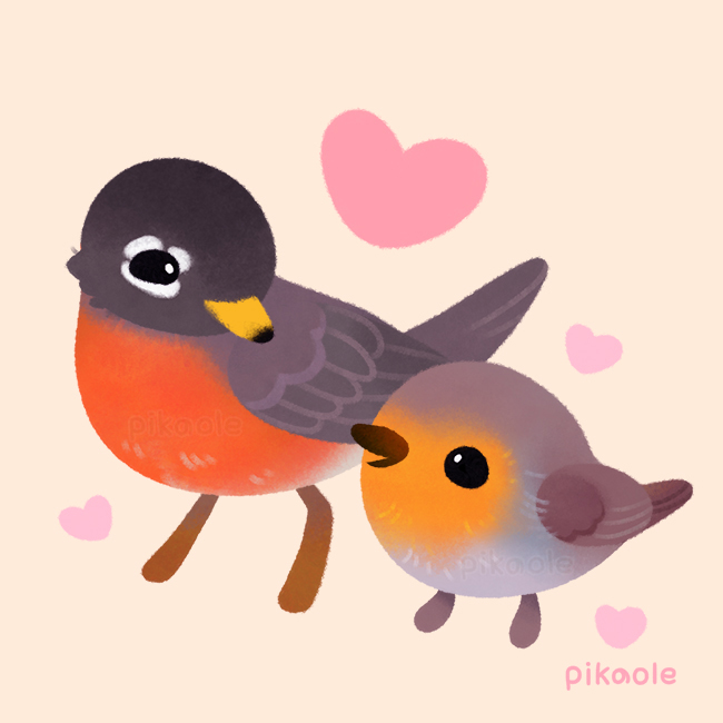 pikaole's tweet photo. Two robins 
(American robin, European robin) https://t.co/TP5WR1al7P