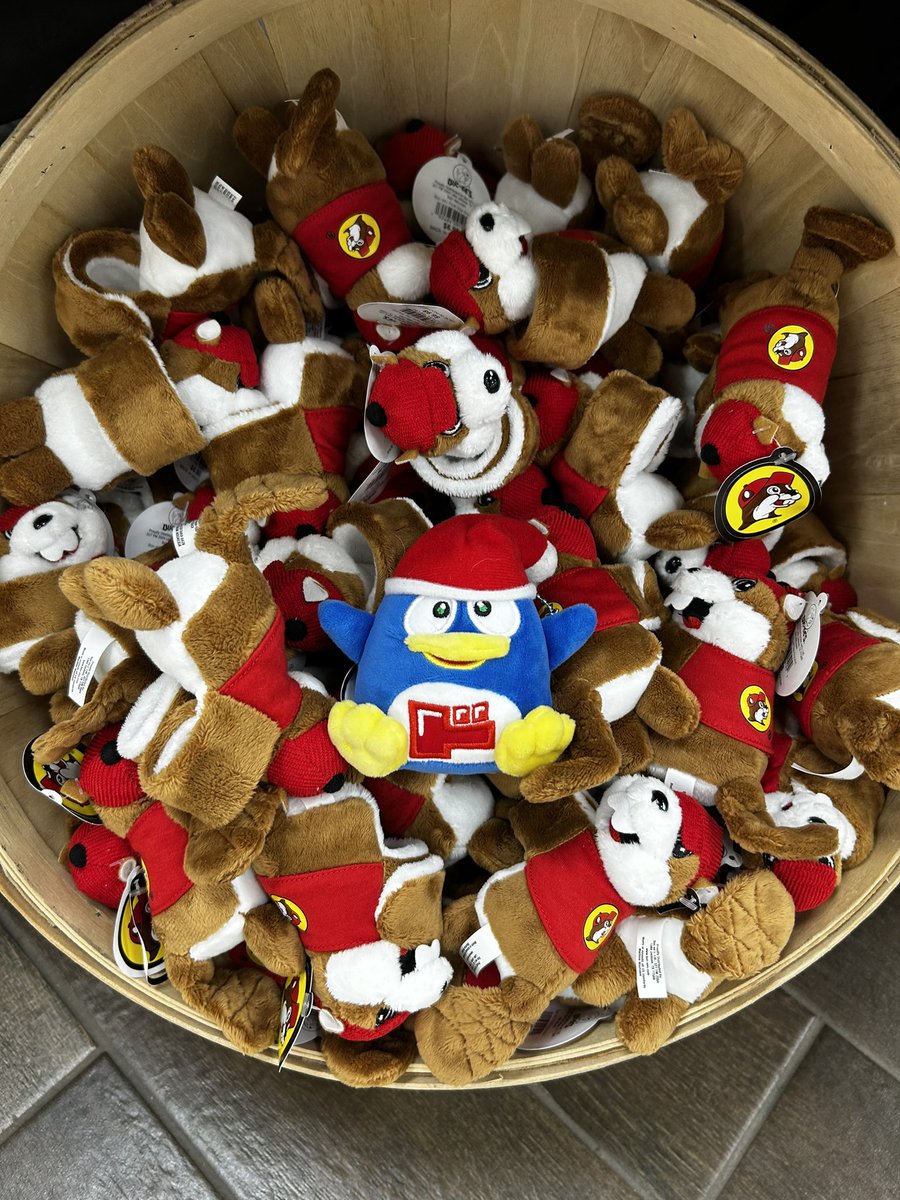 RaspberryRopes's tweet photo. #bucee meets #donpen 

Legendary crossover https://t.co/NksZbG20An
