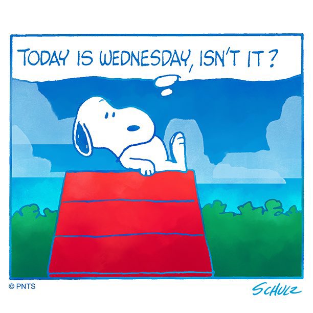snoopyandfrien6's tweet photo. TODAY IS WEDNESDAY, ISN’T IT? https://t.co/ekVyHFStNw