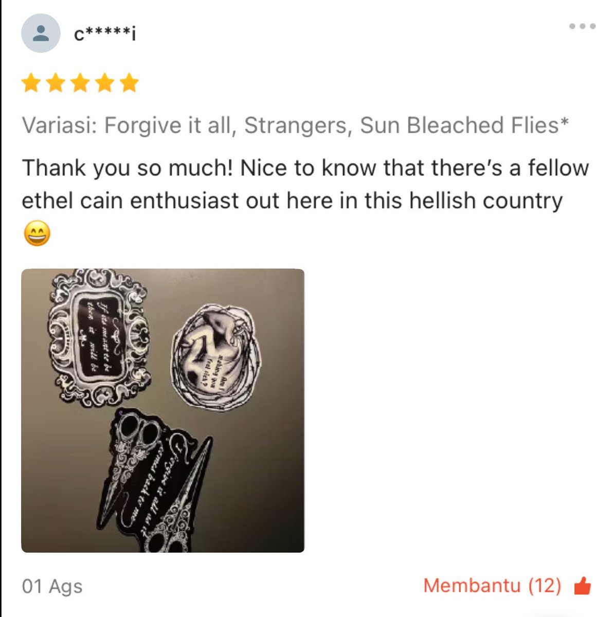 shezslay's tweet photo. the stickers and the reviews 🥹🤍 #ethelcain https://t.co/vba8KFFAU3