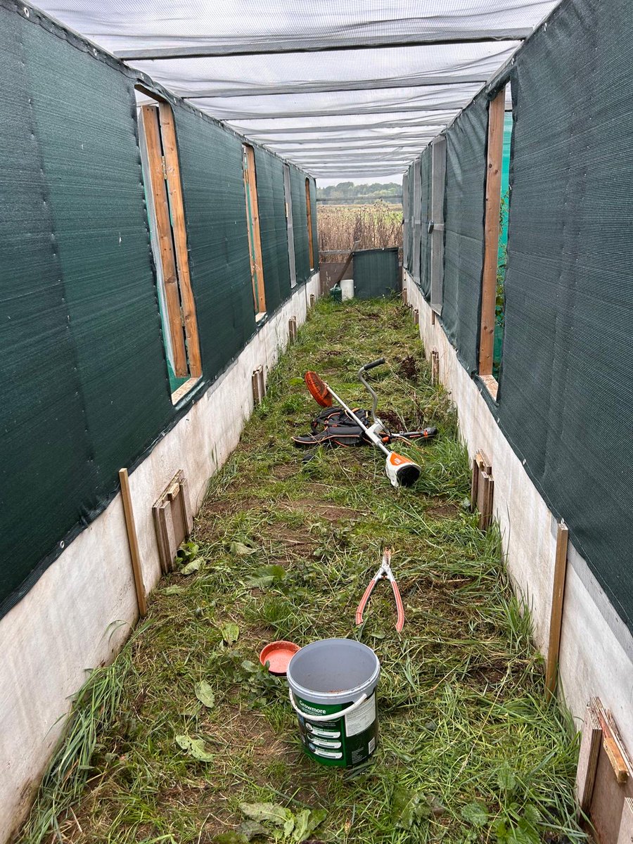LDV_NNR's tweet photo. With the last of this year's Corncrake releases finished we can finally catch our breath (it's been a long season since it all began again in May). We now have the shade/feeding tables to pack away &amp; the last of the pens to strim/fertilise, &amp; then it's all eyes/ears on next year! https://t.co/jEiHxecNhp