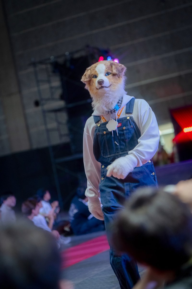 Awlshe_inu's tweet photo. #OFFF でランウェイを歩きました!
(ガチガチになってた)
📸➡@b_foxkonami https://t.co/rGAueH9jXP