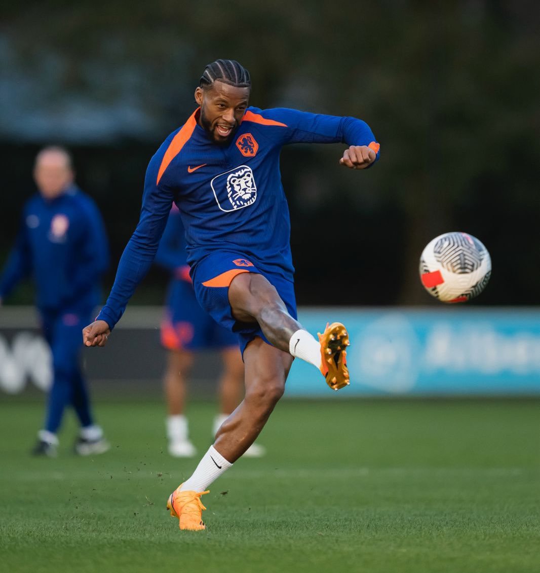CFC_affairs's tweet photo. 🚨Chelsea has contacted Georginio Wijnaldum in the past few hours, who is a free agent. @Santi_J_FM https://t.co/XuYlSe62qu