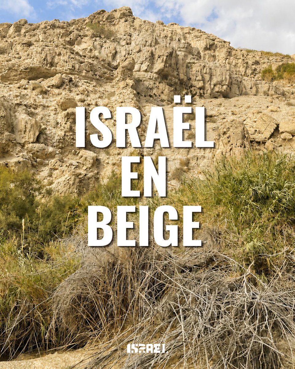IsraelinSenegal's tweet photo. Prochaine étape de notre campagne Israël en couleurs : le BEIGE 🐪🇮🇱
De la pierre de Jérusalem aux vestiges antiques, en passant par les paysages du désert, faites défiler pour découvrir Israël en beige. ☀️
#IsraelInColor #Beige #DesertAnimals #JerusalemStone #Hummus https://t.co/UWh2ASmQA6
