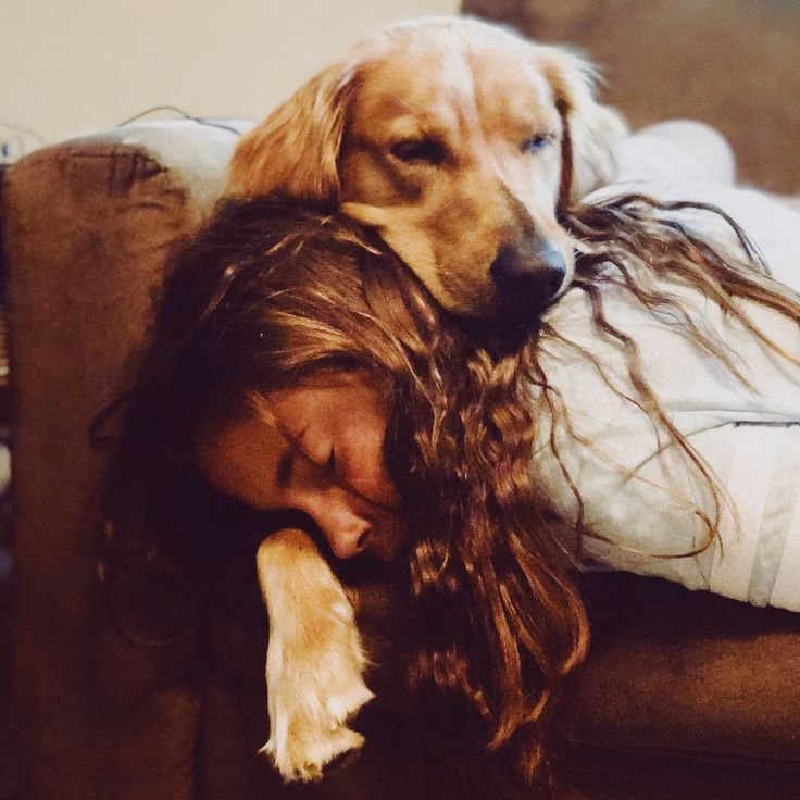 officialapache2's tweet photo. He’s also my cuddle buddy and more 😘
https://t.co/B8ez0Nmicn
#dogporn #zooporn #zoolover #k9slut #2on2 #knottyadventures #beastymom #rpsp #zootwt #zoosarevalid https://t.co/zqXmp3j4id