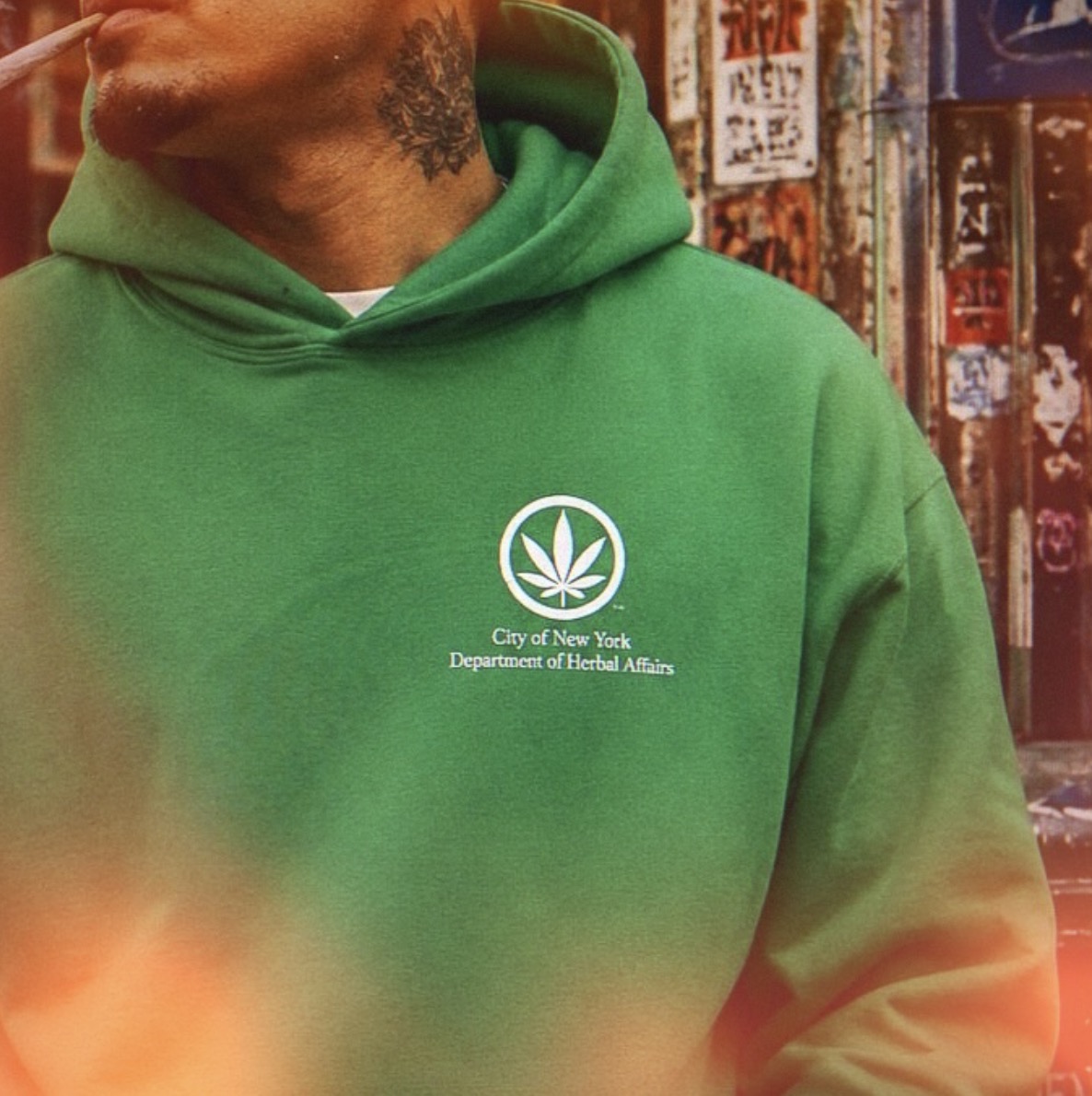 stupidDOPE's tweet photo. New York cannabis shoppers looking for Silly Nice have plenty to explore this week. Fresh availability stretches from Manhattan and Queens to Long Island, Westchester, the Hudson Valley, Central New… 

The post Silly Nice Restocks Across New York:… Link in bio! #stupidDOPE https://t.co/zCWovngo4c