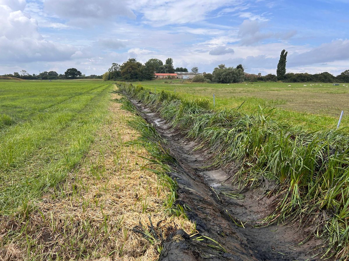 LDV_NNR's tweet photo. This week our rotational ditching programme has moved to North Duffield Carrs, with management of the scrape in front of the Geoff Smith Hide already complete – hopefully it will encourage more waders whilst maintaining the important water beetle assemblage this scrape supports. https://t.co/5NV3Ojowxs