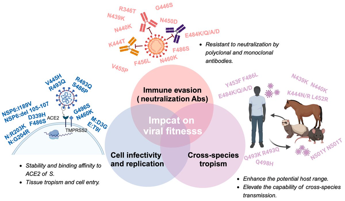 VirusesMDPI's tweet photo. 🧬 Why does Omicron keep evolving?
Liu et al. review how genetic changes have shaped Omicron’s viral fitness, including immune evasion, cellular infectivity & cross-species transmission.
📖 https://t.co/0JB9JWBlHd
#SARSCoV2 #Omicron #Virology https://t.co/6Uxj2nttvz