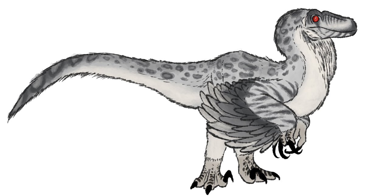 somelivinggguy's tweet photo. snow leopard velociraptor https://t.co/cm5rOUhgGD