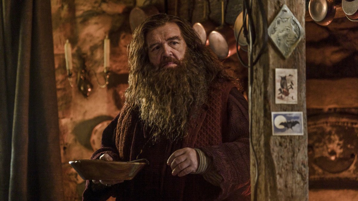 Variety's tweet photo. HBO's #HarryPotter series drops new looks at Hagrid, Dumbledore, Snape and the Weasley family.

Watch the new trailer: https://t.co/9ha1WYri8F https://t.co/rAWmpBRi2s