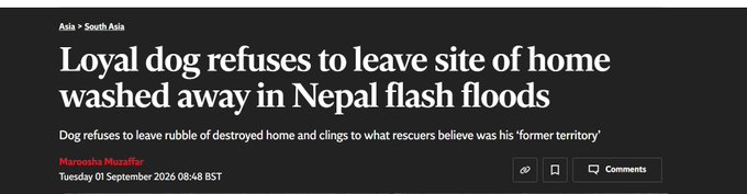 nigCat444's tweet photo. Closing out the Nepal flood/tokenization of the topic as a whole with this narrative

This is genuinely the most heartbreaking/ inspiring story I have seen come out of the whole flood situation

https://t.co/VXJEYn9t1o

This dogs home was washed away in the floods and its owners with it

BUT IT REFUSED TO LEAVE THE SITE OF ITS HOME

Sitting in a muddy pool, fearless to the sight of huge industrial JCB diggers

The dog just sits there waiting for its owners to return