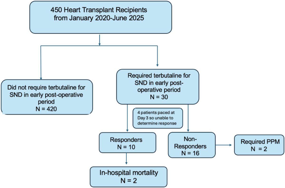 HRS_O2Journal's tweet photo. Terbutaline for sinus node dysfunction after heart transplantation
@ColumbiaMed @WeillCornell #EPeeps
https://t.co/CmYmlTuEUV https://t.co/ar7Se5Fffg