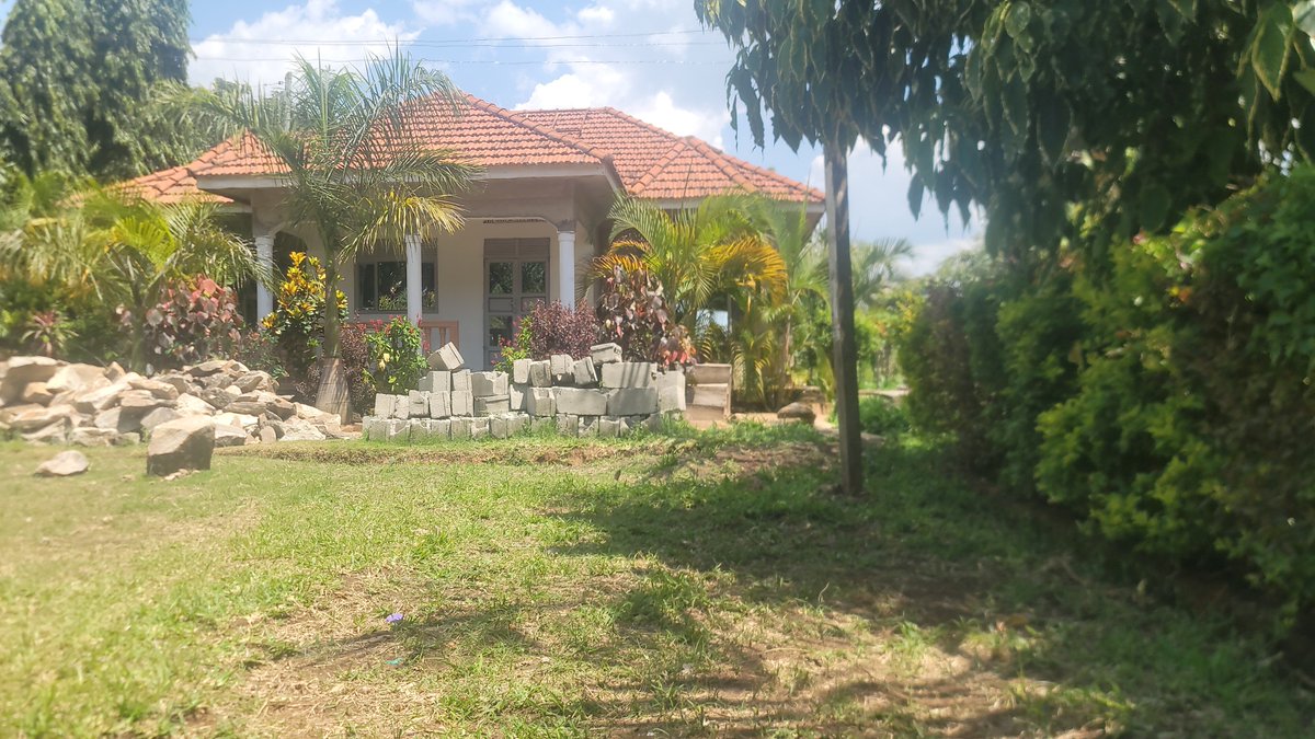 OmarBas97346599's tweet photo. Home for sale 300M https://t.co/zrJ2ldWN7M