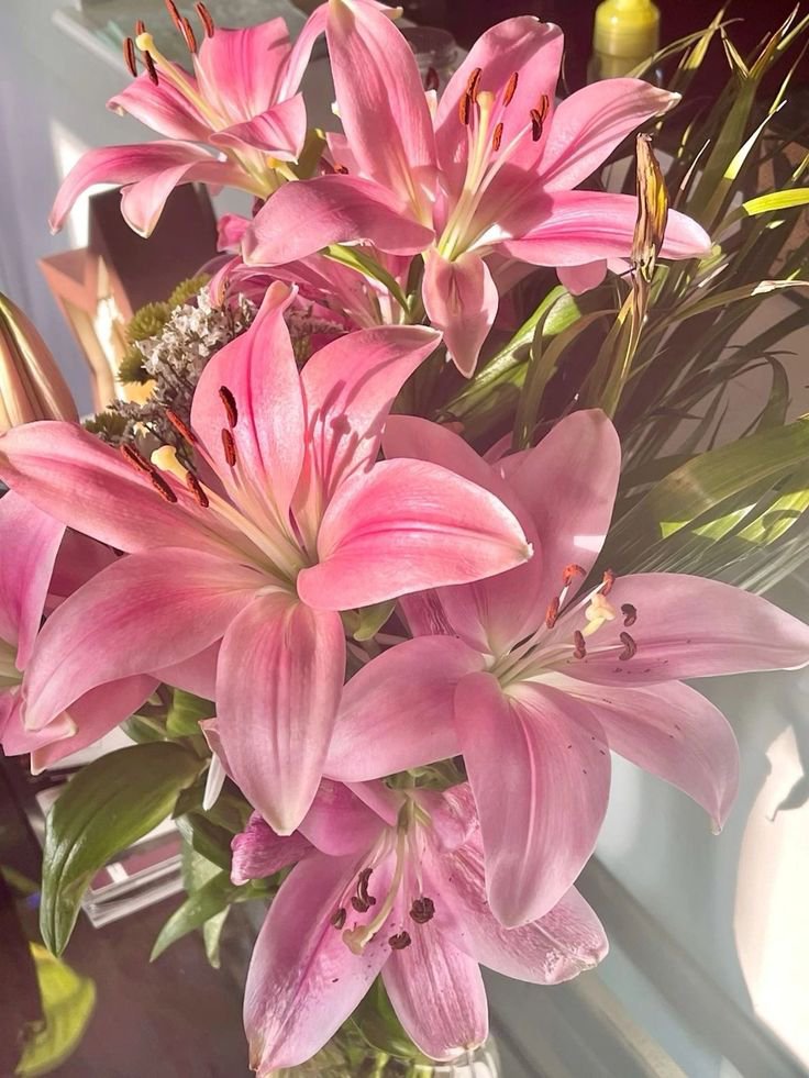 FLOWERS3700's tweet photo. https://t.co/nFnm6Q0fW3