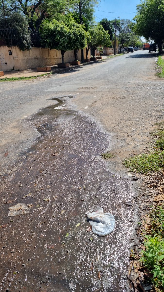 charlesdsouza15's tweet photo. @EssapSA 16 prytdas esq. Chile a una cuadra de la av. Chain Kai Sek hace días que hay perdida https://t.co/jZT7n7zfZ3