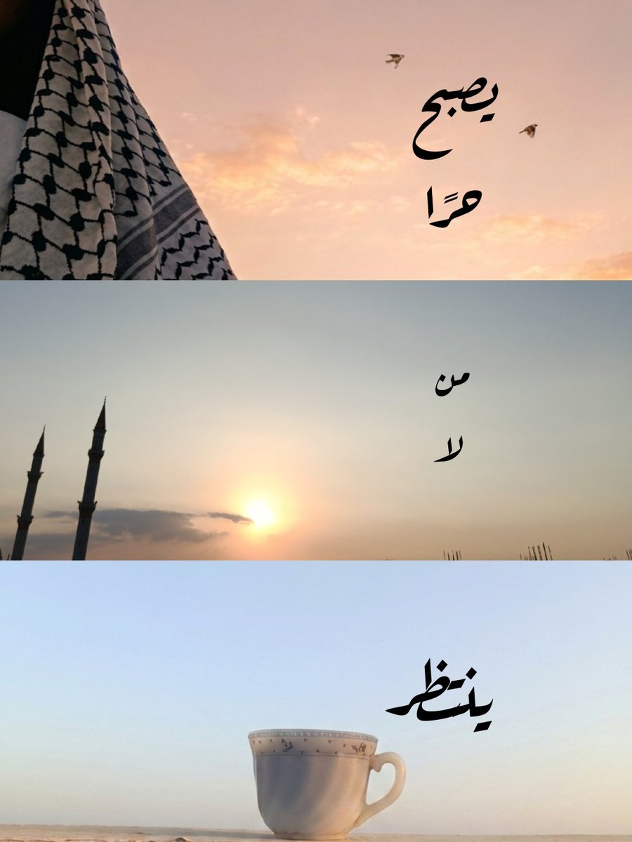 emansabry__'s tweet photo. https://t.co/0KrXZ7H4kd