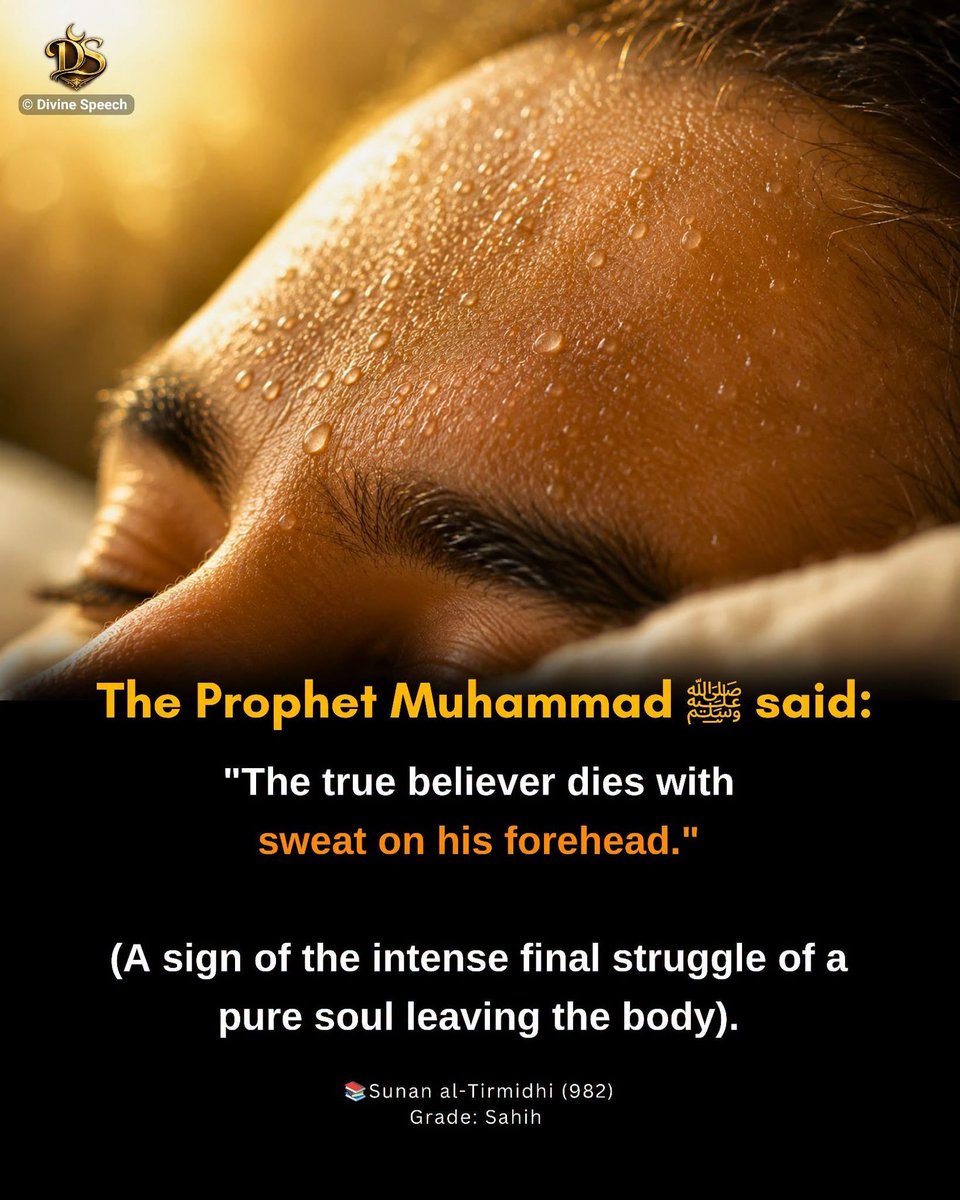 Husniya11054999's tweet photo. SubhanAllah Ya Rabbi https://t.co/rTqH9l9Wwo