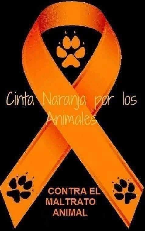 ManuSaenzVolvio's tweet photo. https://t.co/qJhAKZXPxP