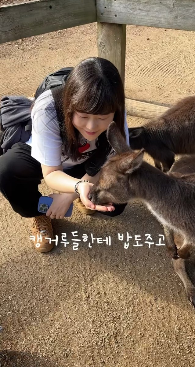 onlysleep9round's tweet photo. 호주잠뜰 ♡ 나 https://t.co/4DPo1agifU