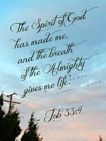 LoriAnnArt's tweet photo. @cselston YES America is led by one of the world'sBIGGEST THIEVES voted in by Catholic #ProLife lies against
TRUE"Gift Of Life IS theBREATH Of God"-Job33:4
we receive at BIRTH 👇
Catholics sadly doNOT Glorify Praise&Thank God 4Every Breath Of HIS OWN Eternal Breath GodGives2us=theyDENY It https://t.co/EzB9ddA4vJ