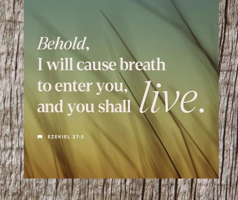 LoriAnnArt's tweet photo. @cselston YES America is led by one of the world'sBIGGEST THIEVES voted in by Catholic #ProLife lies against
TRUE"Gift Of Life IS theBREATH Of God"-Job33:4
we receive at BIRTH 👇
Catholics sadly doNOT Glorify Praise&Thank God 4Every Breath Of HIS OWN Eternal Breath GodGives2us=theyDENY It https://t.co/EzB9ddA4vJ