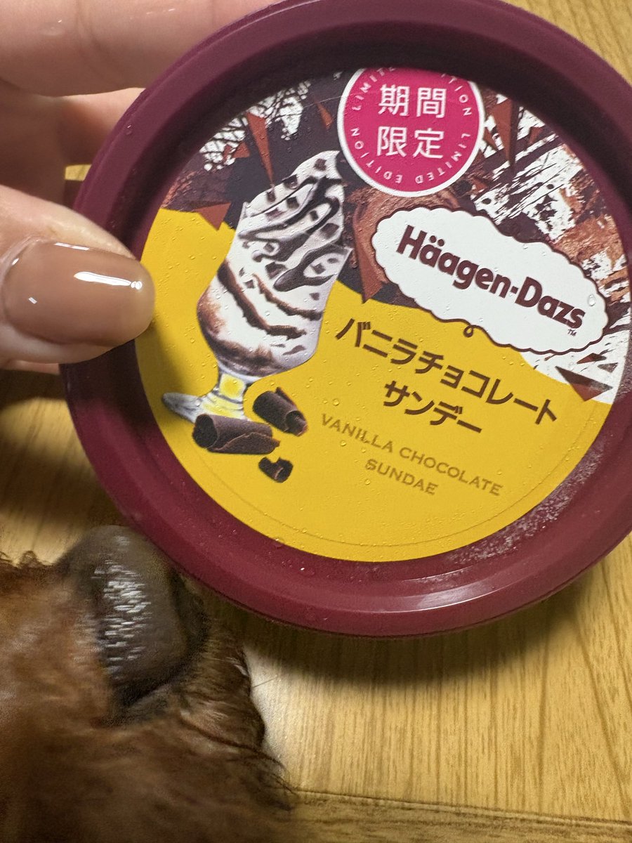 mahiru313's tweet photo. 気になって買った！！、🍨 https://t.co/E9St1pxmLZ