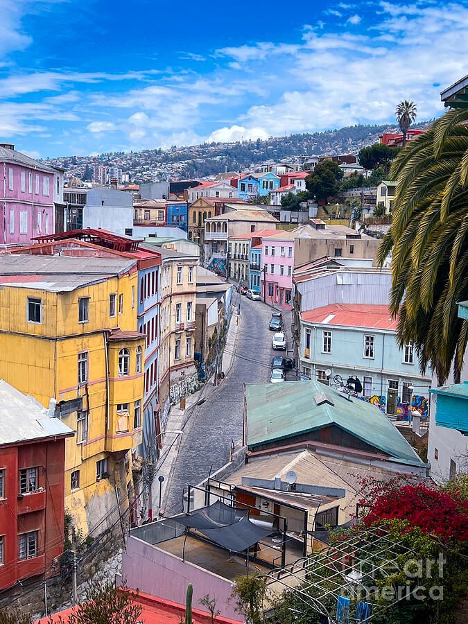 erinmdorffette's tweet photo. The bright hues of Valparaiso's streets instantly fill you with joy. It's a place where every moment becomes a cherished memory.
https://t.co/cWv0T6VzXB
#ColorfulStreets #Valparaiso #FineArt #Photography #WallArt #ArtPrints https://t.co/hAkkr2PBjj
