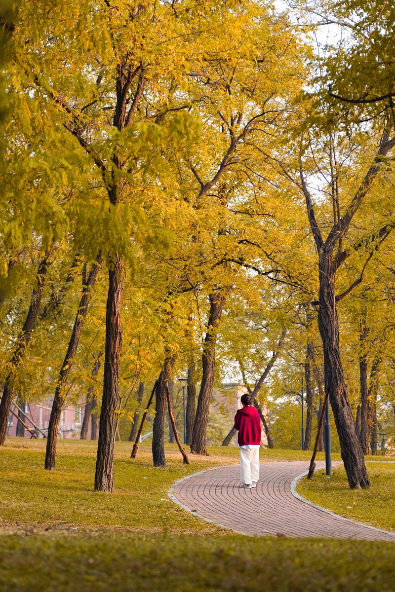 velvb474784's tweet photo. Lovely autumn breeze blows through the park, leaves turning warm shades of gold. Perfect day for a cozy walk! https://t.co/H6rEjVDTxD