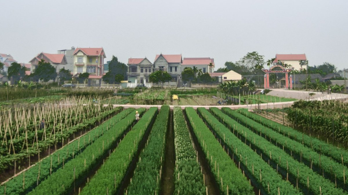 GFDRR's tweet photo. By blocking storm surges, the mangroves of northern Viet Nam’s Red River Delta have long provided a measure of protection against flooding for local communities.

Learn about how we are supporting Viet Nam in harnessing nature for resilience: https://t.co/Nr2Pgqaf9t https://t.co/jyuI16X1Oi