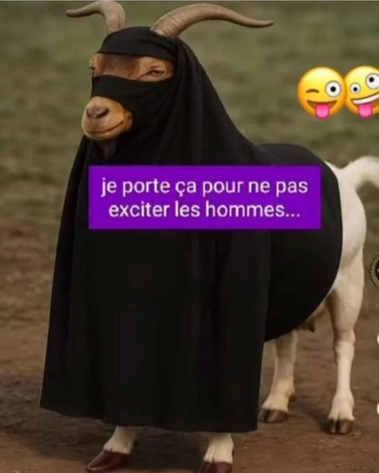 Valstarus's tweet photo. @SAllegatiere @RNational_off @JphTanguy @ljacobelli @J_Bardella @AndreaKotarac @MLP_officiel https://t.co/jVF70PNE1n