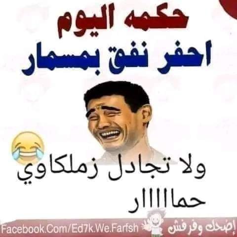 sameheltaip's tweet photo. @respect121021 يابن العبيطه دى مبارة زد وبيراميدز فعلا صدق المثل احفر نفق بمسمار ومتجدلش الزمالكاوى علشان حمار https://t.co/wjNDnh69vW