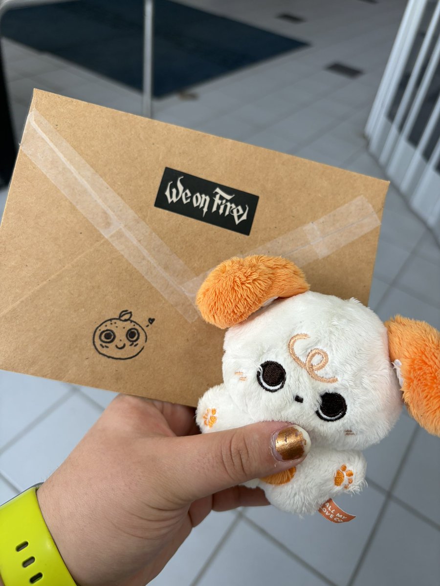 lightyourlex's tweet photo. sent out 🍊mail today 🎉 https://t.co/ofF09TImBv