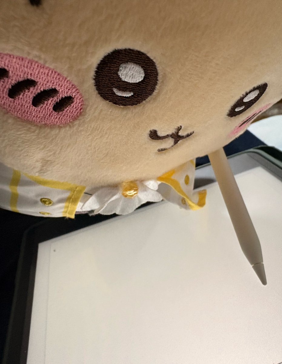 mmR_chii's tweet photo. 私の代わりに勉強してくれる紳士🎩ﾌﾟﾙﾔさん🌹🥹😭 https://t.co/eU1vzubqv0