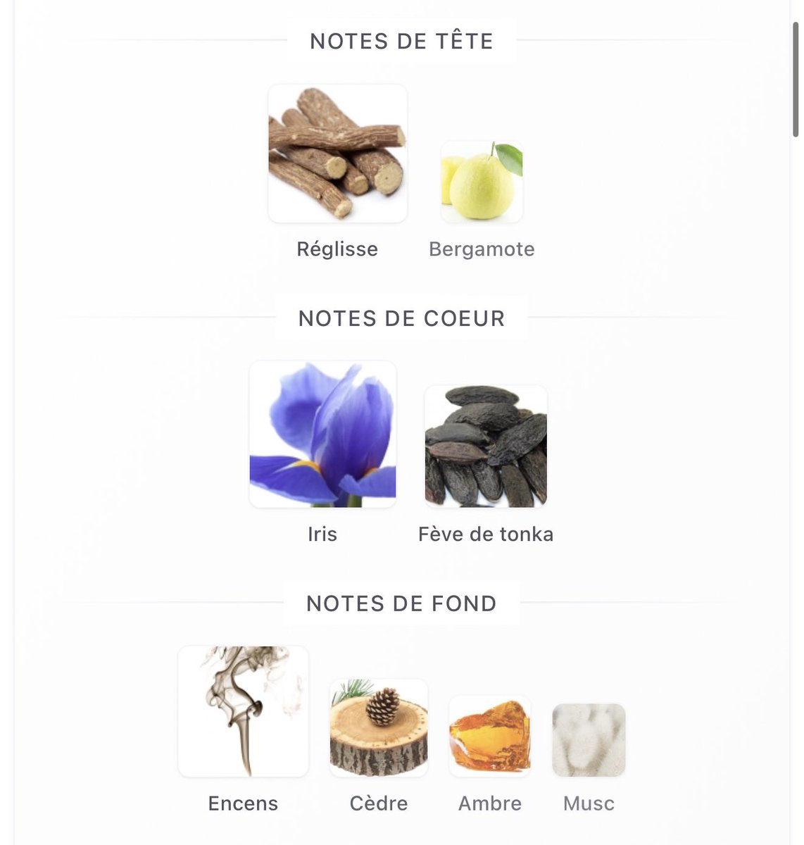 alxsqmr's tweet photo. Quand j’ai besoin de me réconcilier avec la parfumerie je sors mon parfum préféré et je me rappelle pourquoi j’aime autant ce milieu. 🫂 https://t.co/gnYYe6EWHT
