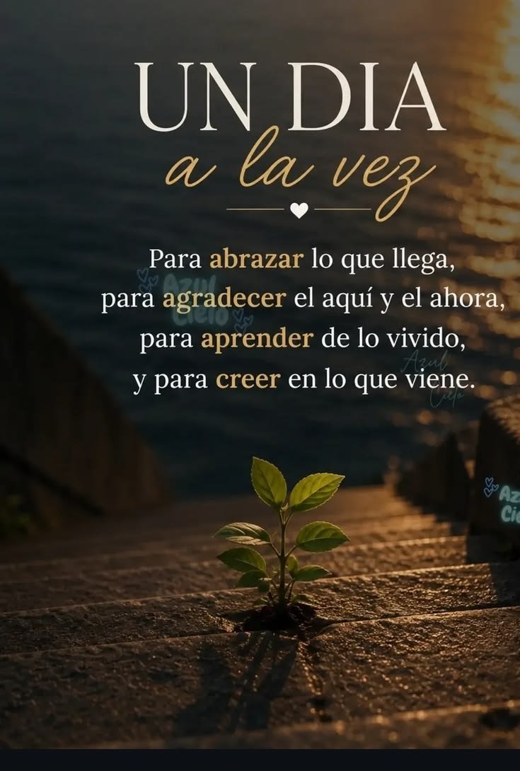 Motivosentuvida's tweet photo. Un día a la vez.... Buenos días 🌞 

#BuenosDías 
#BuenMiércoles 
#BuenosDíasATodos 
#FraseDelDía 
#FelizMiércoles 
#VidaPositiva https://t.co/fAlAR3tgpF