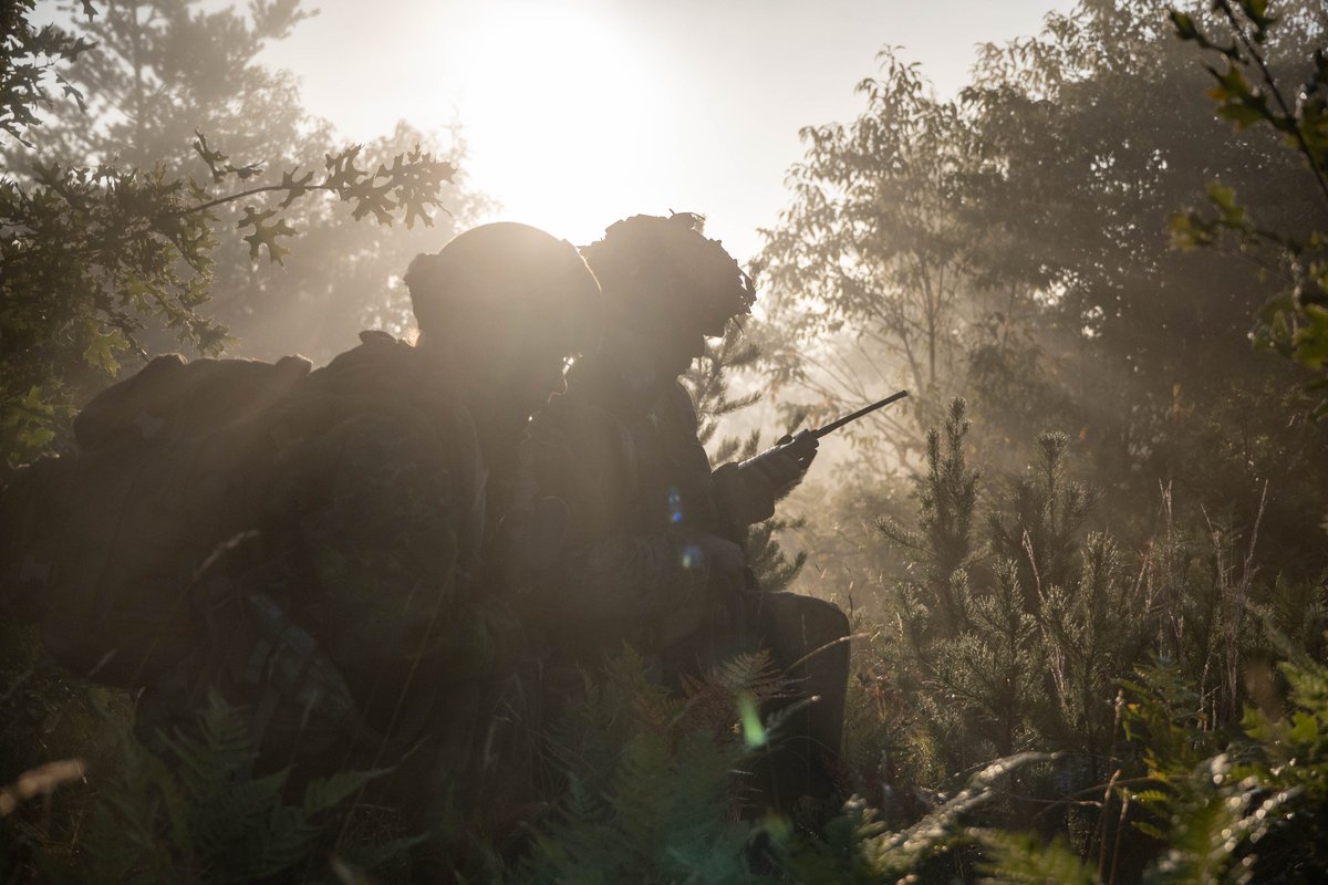 Two soldiers crouched in dense foliage, one holding a radio while sunlight filters through the trees.