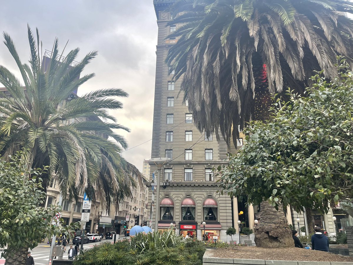 chattyhipster's tweet photo. ohio girl made it to cali ✨ https://t.co/10FjYTOwsq