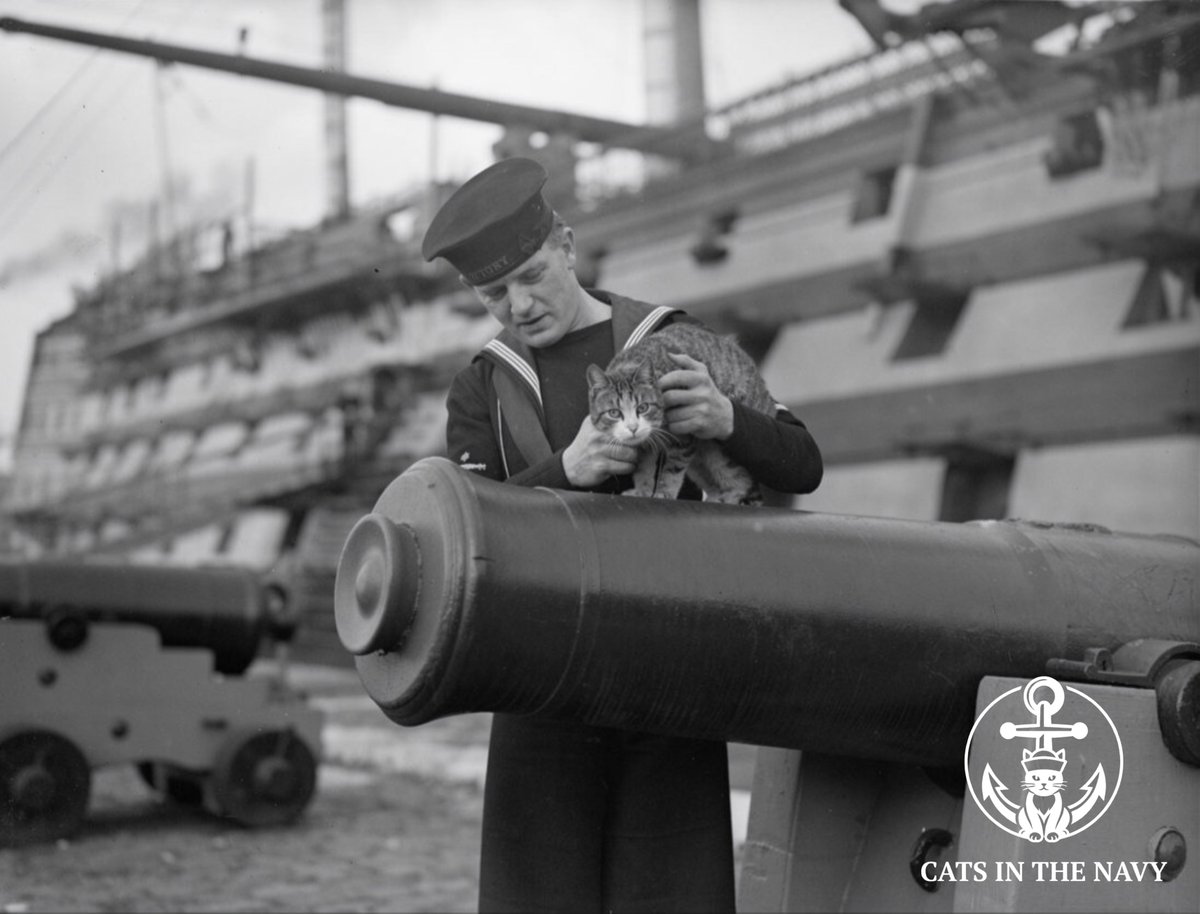 CatsintheNavy's tweet photo. Minnie of HMS Victory did her part for increased war production in the 1940s by mothering more than 110 kittens. The kittens were sought after by other Royal Navy ships that wanted a mascot with a connection to Admiral Nelson's flagship.
#catoftwitter #cats #catlore https://t.co/pOQW9dLKtz