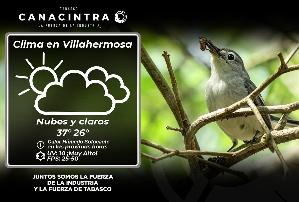 CANACINTRA_Tab's tweet photo. #ClimaTabasco https://t.co/VHqQB65nVm